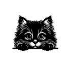 Cica Fali Dekoráció