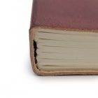 Bőr Kötésű Notesz - Tenyérjóslás Közepes