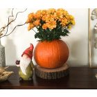 Kerti Manó Almával