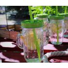 Kaktusz Pohár Készlet